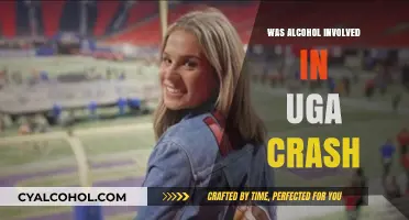 UGA Crash Investigation: Was Alcohol a Contributing Factor?