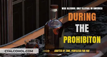 Alcohol's American History: Prohibition and Beyond