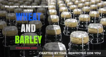 Alcohol: Why We Grow Wheat and Barley?