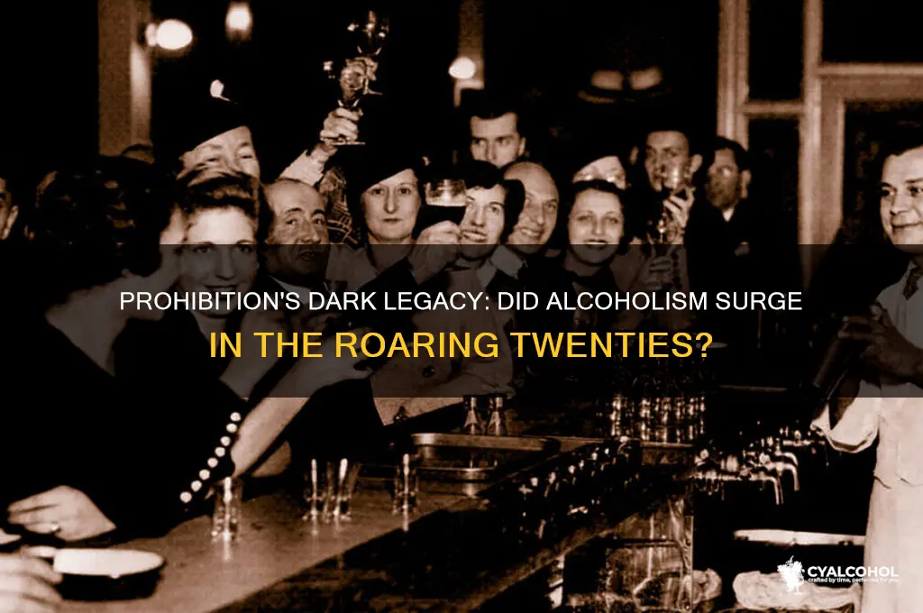 was alcoholism at a high in the 1920s