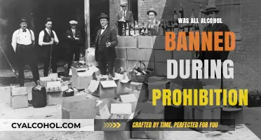 Was All Alcohol Banned During Prohibition? Unraveling the Myth