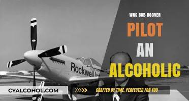 Bob Hoover's Legacy: Alcoholism Struggles and Aviation Heroics Revealed