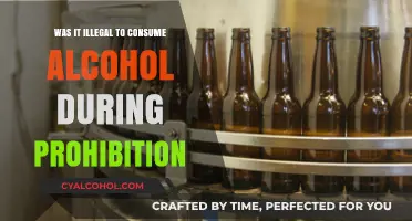Prohibition's Paradox: Was Drinking Alcohol Truly Illegal During the Ban?