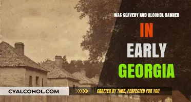 Early Georgia's Prohibition: Slavery and Alcohol Bans Explored