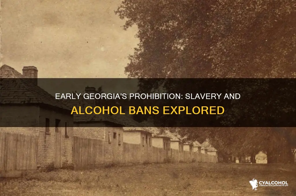 was slavery and alcohol banned in early georgia
