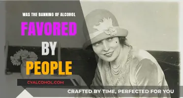 Prohibition's Popularity: Did the Public Support Banning Alcohol?
