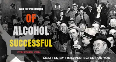 Prohibition's Legacy: Did Banning Alcohol Achieve Its Intended Goals?