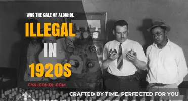 Prohibition's Grip: Was Alcohol Sale Illegal in the 1920s?