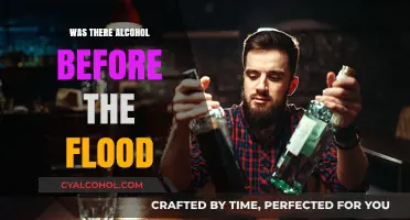 Alcohol's Ancient Origins: Did It Exist Before the Biblical Flood?