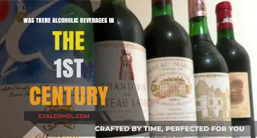 Ancient Libations: Exploring Alcoholic Beverages in the 1st Century