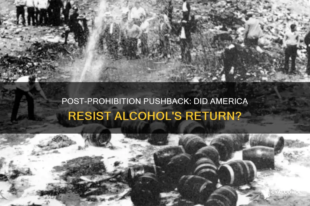 was there push back on alcohol after prohibition