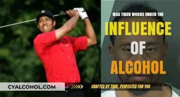 Tiger Woods DUI: Alcohol Influence or Misinterpreted Incident?