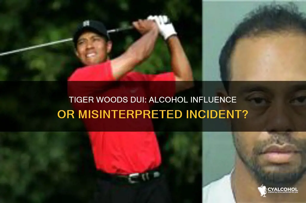 was tiger woods under the influence of alcohol