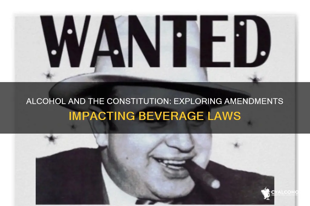 what 2 amendments directly concern alcohol
