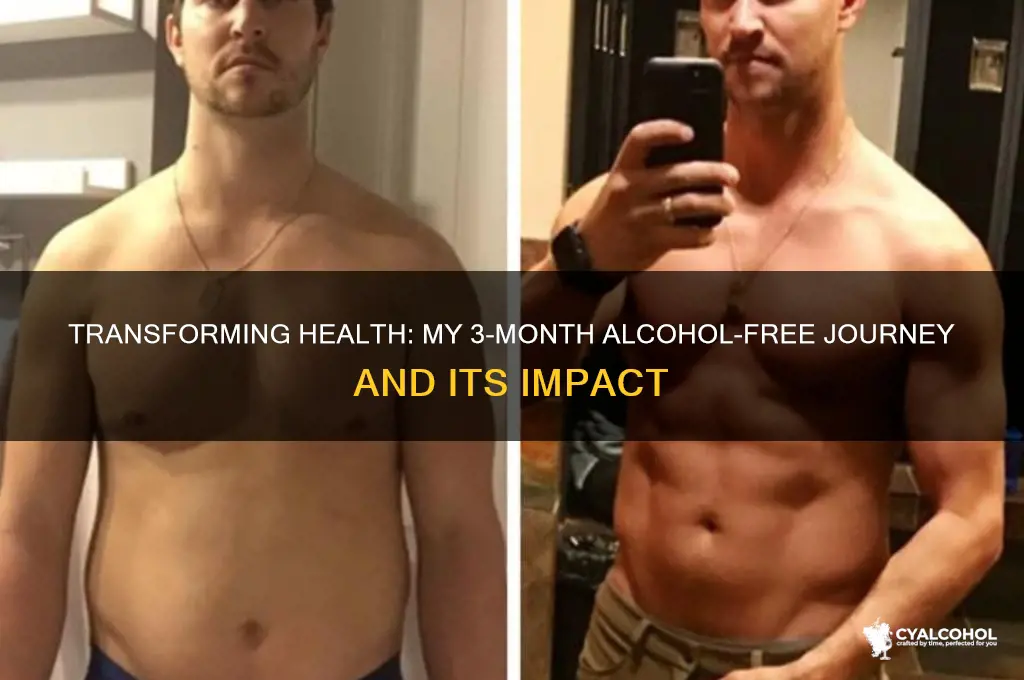 what 3 months without alcohol does