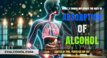 Factors Affecting Alcohol Absorption Rate