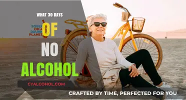 Sober Transformation: My 30-Day Alcohol-Free Journey and Lessons Learned