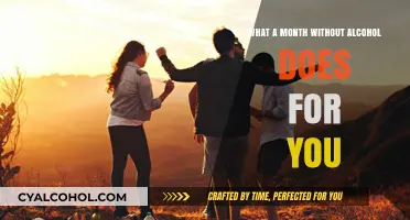 Sober Transformation: Discovering the Benefits of a Month Without Alcohol