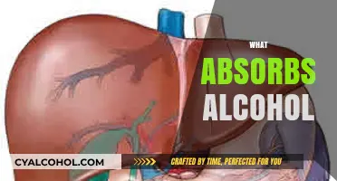 Effective Ways to Absorb Alcohol Quickly and Safely Explained