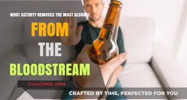 How to Quickly Remove Alcohol from Your Bloodstream