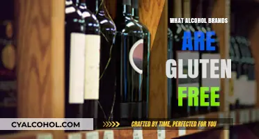 Gluten-Free Alcohol Guide: Top Brands for Celiac-Safe Drinking