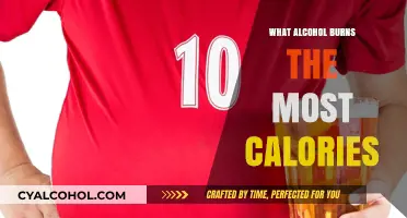 Maximize Your Metabolism: Alcohols That Burn the Most Calories