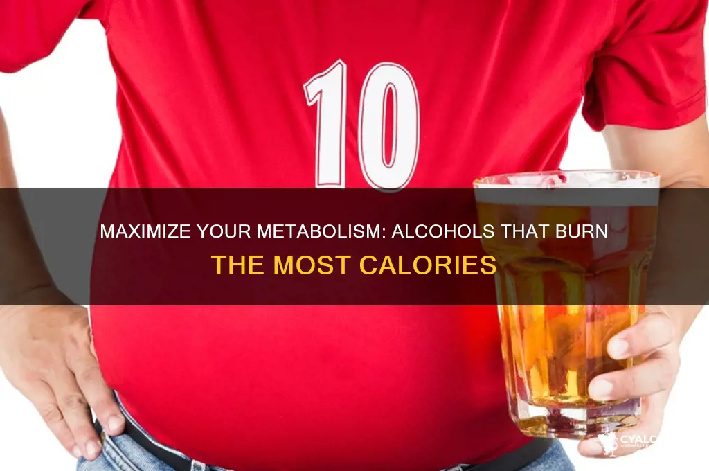 what alcohol burns the most calories