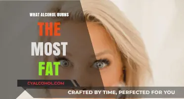 Alcohol and Fat Loss: Which Drinks Boost Metabolism Most?