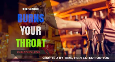 Which Alcohol Burns Your Throat the Most? A Guide