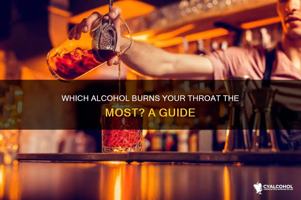 what alcohol burns your throat