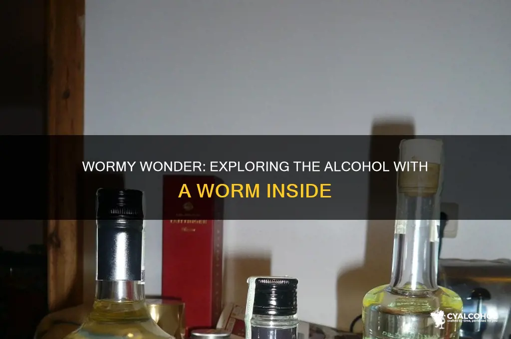Wormy Wonder: Exploring The Alcohol With A Worm Inside | CyAlcohol