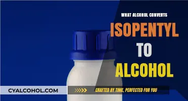 Converting Isopentyl to Alcohol: The Role of Specific Alcohol Types
