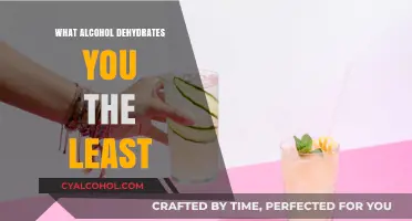 Hydration-Friendly Drinks: Which Alcohol Dehydrates You the Least?