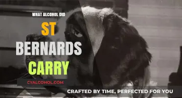 Unveiling the Myth: What Alcohol Did St. Bernards Carry?