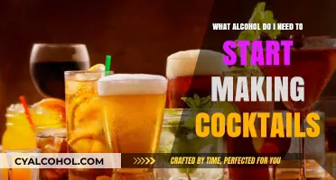 Essential Alcohol for Your Cocktail-Making Journey