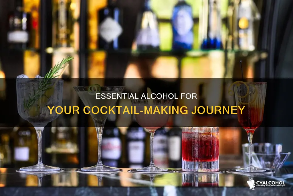 what alcohol do i need to start making cocktails