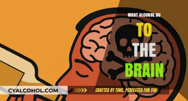 How Alcohol Alters Brain Function and Cognitive Health Explained