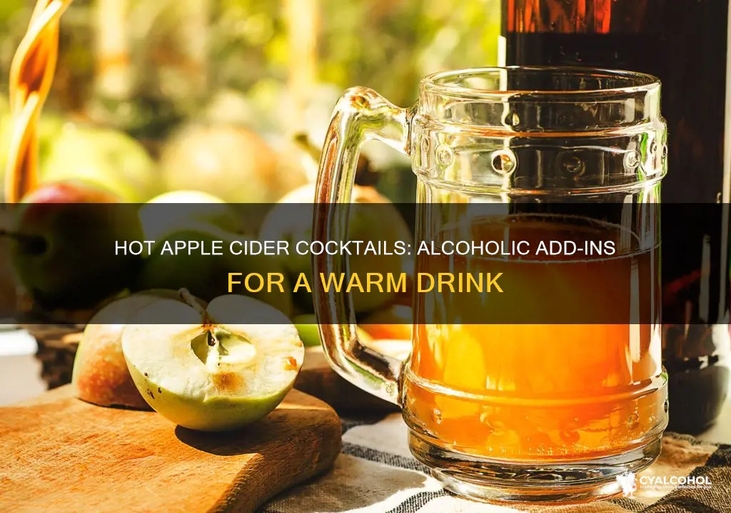 what alcohol do you add to hot apple cider