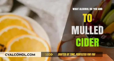 Enhance Your Mulled Cider: Best Alcohol Pairings for Warm Winter Nights