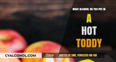 Hot Toddy Alcohol Options: Whiskey, Rum, or Brandy?