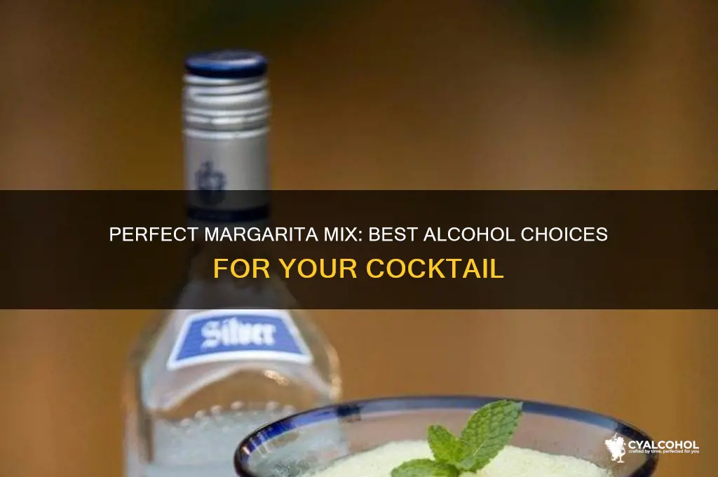 what alcohol do you put in a margarita