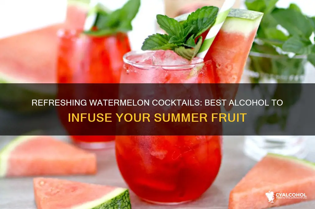 what alcohol do you put in a watermelon