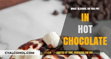Perfect Pairings: Best Alcohol to Elevate Your Hot Chocolate Experience