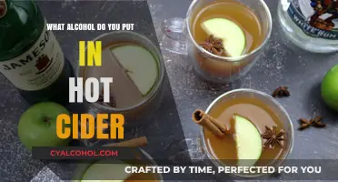 Perfect Pairings: Best Alcohol to Elevate Your Hot Cider Experience