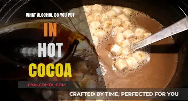 Perfect Pairings: Best Alcohol to Elevate Your Hot Cocoa Experience