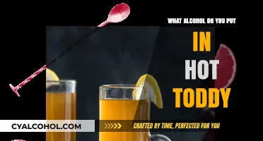 Perfect Hot Toddy: Best Alcohol Choices for Warmth and Flavor
