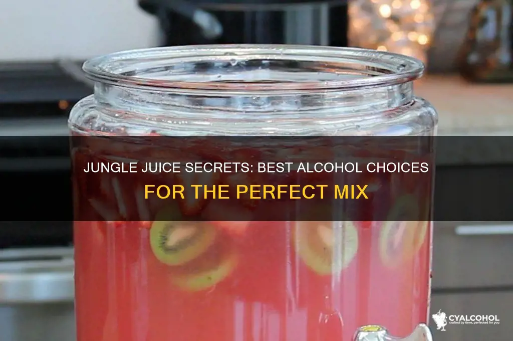 what alcohol do you put in jungle juice