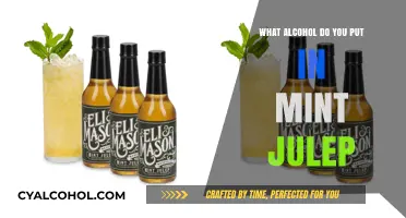 Perfect Mint Julep Recipe: Which Alcohol Elevates This Classic Cocktail?