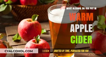 Warm Apple Cider: Alcoholic Twist for a Cozy Night
