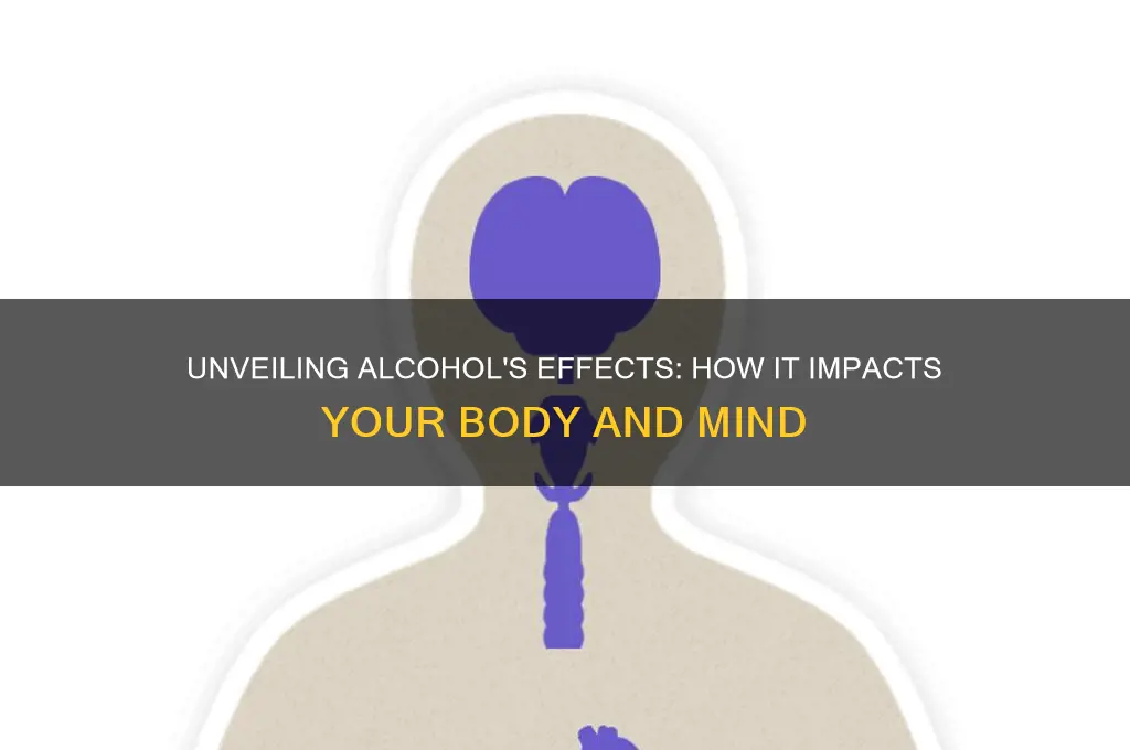 what alcohol do